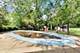 1014 E Crabtree, Arlington Heights, IL 60004
