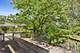 1218 Johnson, Naperville, IL 60540