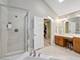 267 N Walnut, Elmhurst, IL 60126