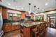 1127 N Elmwood, Oak Park, IL 60302