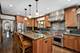 1127 N Elmwood, Oak Park, IL 60302