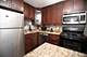 3550 N Lake Shore Unit 1117, Chicago, IL 60657