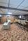 7043 40th, Stickney, IL 60402