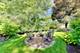 1117 Dawes, Libertyville, IL 60048