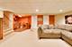 1117 Dawes, Libertyville, IL 60048
