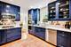 2241 Greenwood, Wilmette, IL 60091