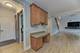12308 Blue Iris, Plainfield, IL 60585