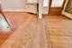 801 Gunderson, Oak Park, IL 60304