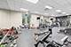 700 N Larrabee Unit 1208, Chicago, IL 60654