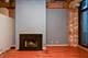 375 W Erie Unit 321, Chicago, IL 60610