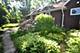 35909 N Helendale, Ingleside, IL 60041