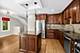 1815 Crain, Evanston, IL 60202