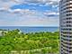 4250 N Marine Unit 2129, Chicago, IL 60613