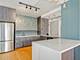 4250 N Marine Unit 2129, Chicago, IL 60613