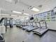 4250 N Marine Unit 2129, Chicago, IL 60613