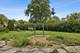 207 N Main, Mount Prospect, IL 60056
