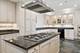 2100 N Racine Unit 3D, Chicago, IL 60614
