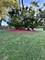 2842 Rhodes, Melrose Park, IL 60164
