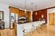 4003 N Wolcott Unit E, Chicago, IL 60613