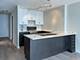 1660 N Lasalle Unit 3903, Chicago, IL 60614