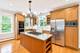 310 S Waiola, La Grange, IL 60525