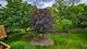 925 Spring Hill Unit 311, Northbrook, IL 60062