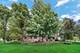 13935 Elizabeth, Mokena, IL 60448