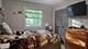 17515 W Winnebago, Grayslake, IL 60030