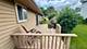 151 Pier, Naperville, IL 60565