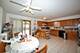 2823 S Farrell, Chicago, IL 60608
