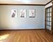 1217 Yorkshire, Naperville, IL 60563