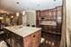 2952 W Warren, Chicago, IL 60612