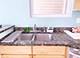 1028 W 20th Unit 1, Chicago, IL 60608