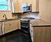 1359 W Fillmore Unit B, Chicago, IL 60607