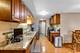 17106 Ingleside, South Holland, IL 60473