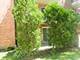 1127 S Old Wilke Unit 101, Arlington Heights, IL 60005