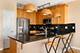 120 N Northwest Unit 307, Park Ridge, IL 60068