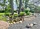12N085 Wildmere, Elgin, IL 60123