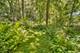 12N085 Wildmere, Elgin, IL 60123