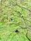 12N085 Wildmere, Elgin, IL 60123