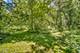 12N085 Wildmere, Elgin, IL 60123