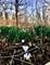 12N085 Wildmere, Elgin, IL 60123
