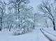 12N085 Wildmere, Elgin, IL 60123