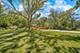 12N085 Wildmere, Elgin, IL 60123