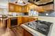 508 N Metropolitan, Waukegan, IL 60085