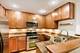 1338 S Federal Unit B, Chicago, IL 60605