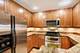 1338 S Federal Unit B, Chicago, IL 60605