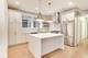 1201 E Madison Park Unit 2, Chicago, IL 60615