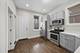 1033 N Lawndale, Chicago, IL 60651
