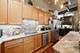 1070 W 15th Unit 147, Chicago, IL 60608